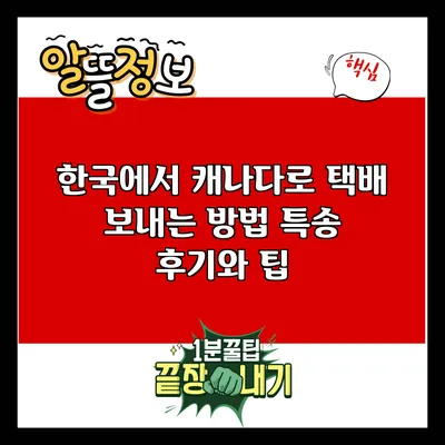 한국에서 캐나다로 택배 보내는 방법: 특송 후기와 팁