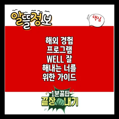 해외 경험 프로그램 WELL: 잘 해내는 너를 위한 가이드