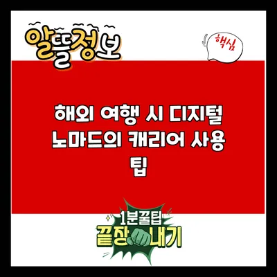 해외 여행 시 디지털 노마드의 캐리어 사용 팁