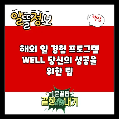 해외 일 경험 프로그램 WELL: 당신의 성공을 위한 팁