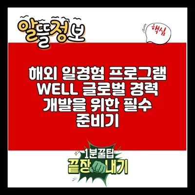 해외 일경험 프로그램 WELL: 글로벌 경력 개발을 위한 필수 준비기