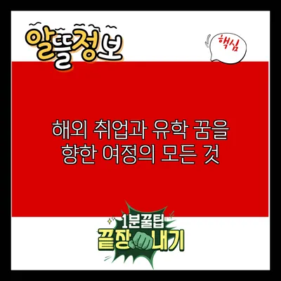 해외 취업과 유학: 꿈을 향한 여정의 모든 것