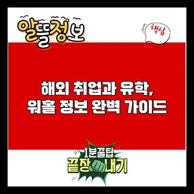 해외 취업과 유학, 워홀 정보 완벽 가이드