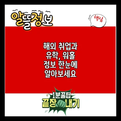 해외 취업과 유학, 워홀 정보 한눈에 알아보세요