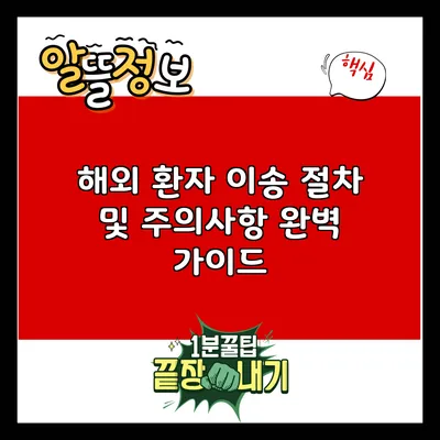 해외 환자 이송 절차 및 주의사항 완벽 가이드