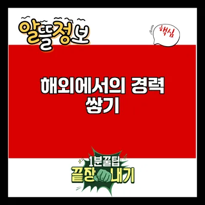 해외에서의 경력 쌓기
