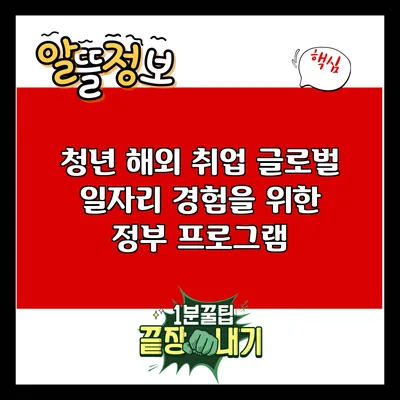청년 해외 취업: 글로벌 일자리 경험을 위한 정부 프로그램