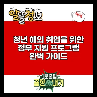 청년 해외 취업을 위한 정부 지원 프로그램 완벽 가이드
