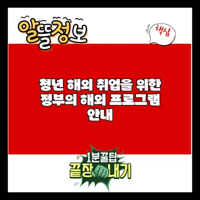 청년 해외 취업을 위한 정부의 해외 프로그램 안내