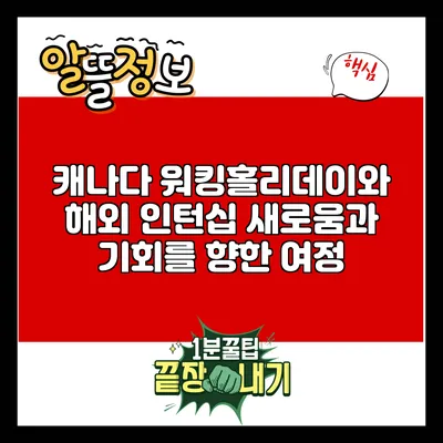 캐나다 워킹홀리데이와 해외 인턴십: 새로움과 기회를 향한 여정