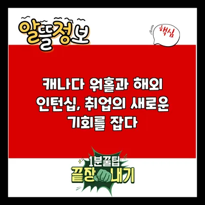 캐나다 워홀과 해외 인턴십, 취업의 새로운 기회를 잡다
