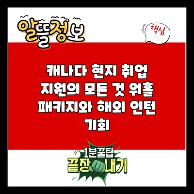 캐나다 현지 취업 지원의 모든 것: 워홀 패키지와 해외 인턴 기회
