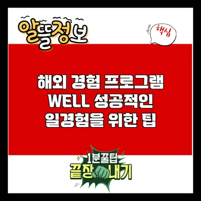 해외 경험 프로그램 WELL: 성공적인 일경험을 위한 팁