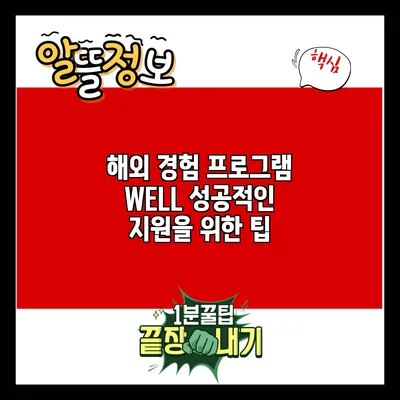 해외 경험 프로그램 WELL: 성공적인 지원을 위한 팁