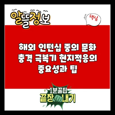 해외 인턴십 중의 문화 충격 극복기: 현지적응의 중요성과 팁