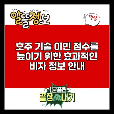 호주 기술 이민 점수를 높이기 위한 효과적인 비자 정보 안내